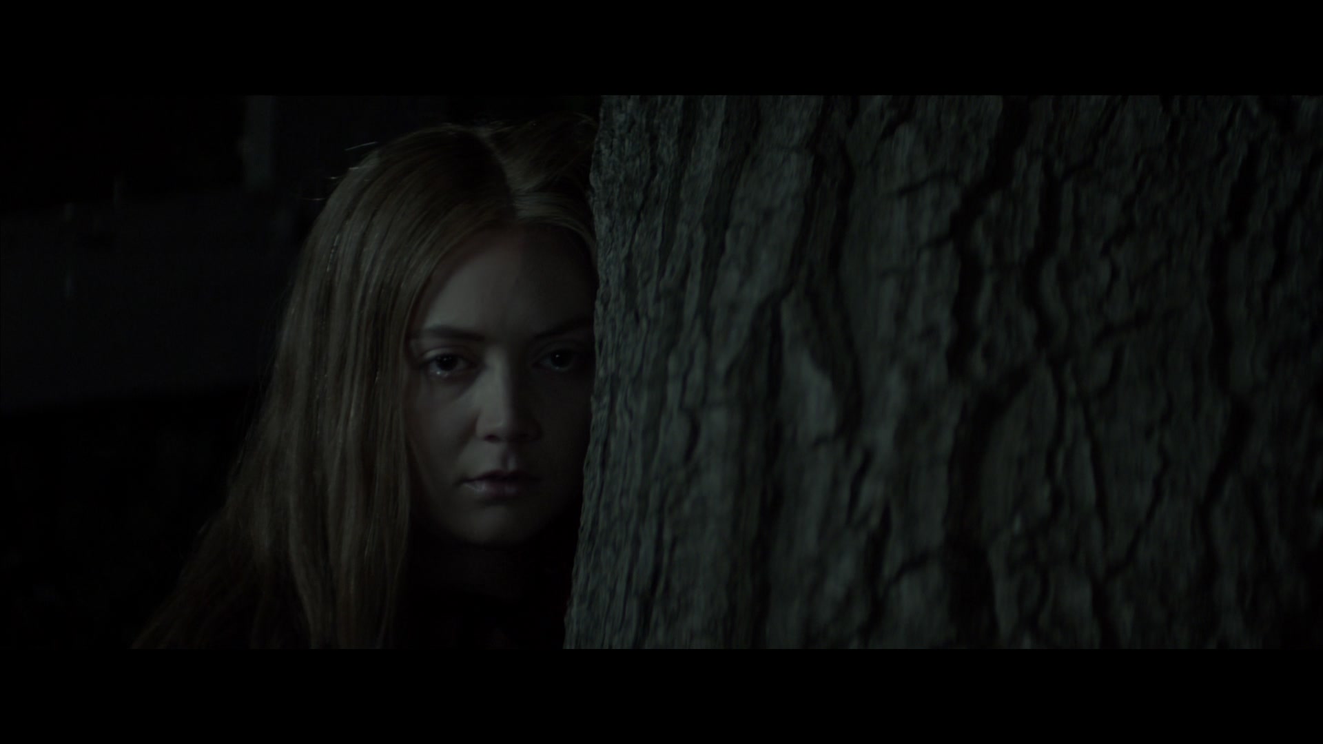 American_Horror_Story_S07_E10_Charles_Manson_Charge_1080p_BluRay_002374.jpg