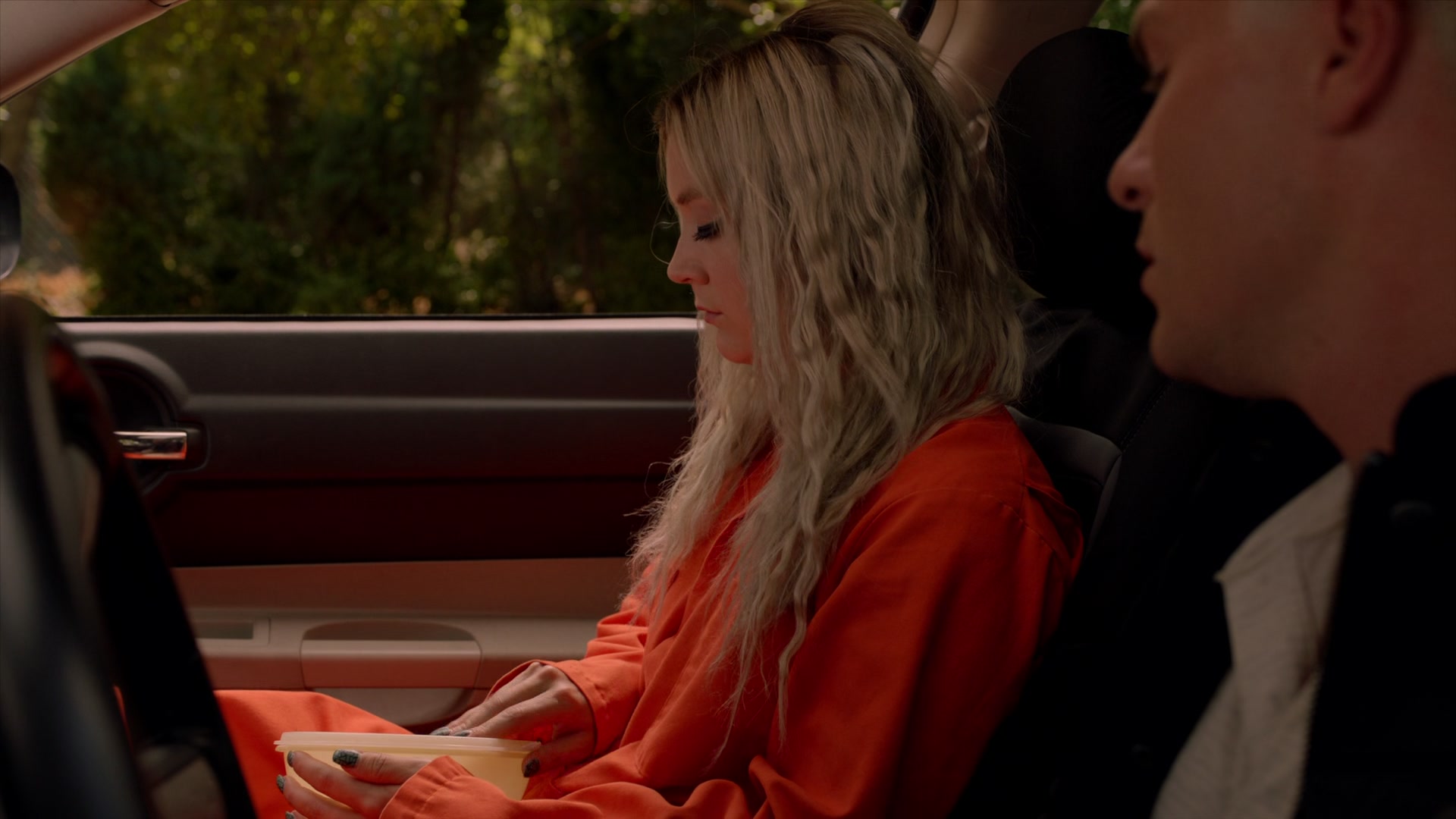 American_Horror_Story_S07_E08_Winter_ofOur_Discontent_1080p2CBluRay_004255.jpg